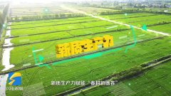 <b>闪电评论｜因地制宜成长农业新质出产力齐鲁农</b>