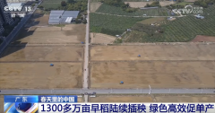<b>科技赋能为春耕按下“加快键” 春天里的中国孕</b>